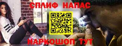 mdpv Обнинск