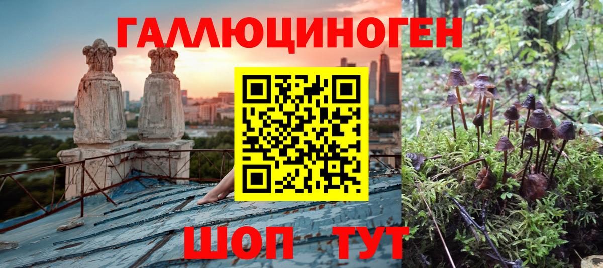 Тобольск  Псилоцибиновые грибы MAGIC MUSHROOMS  где продают наркотики  Вход с VPN 