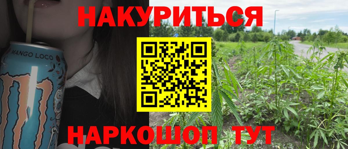 Бошки Шишки White Widow  Вход с VPN  Тобольск  Бошки Шишки семена  Марихуана ГИДРОПОН  Марихуана план 